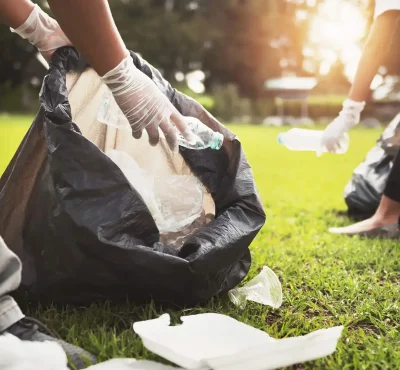 yard debris removal