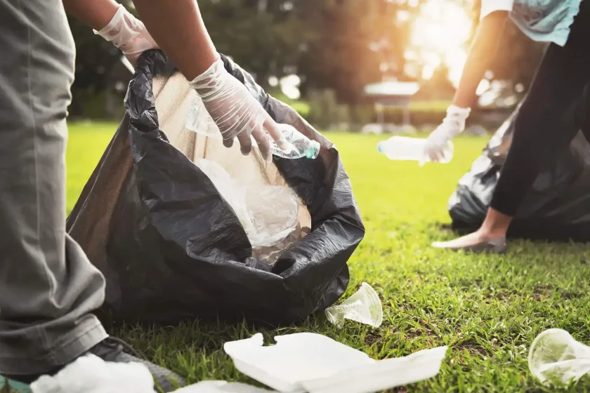 yard debris removal